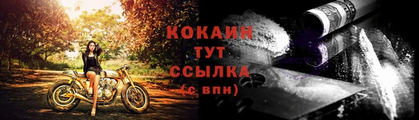 тгк Приозерск